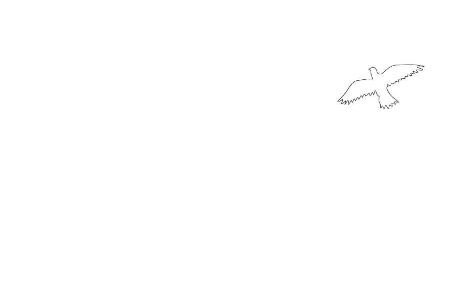 Mesa Rim Climbing Centers